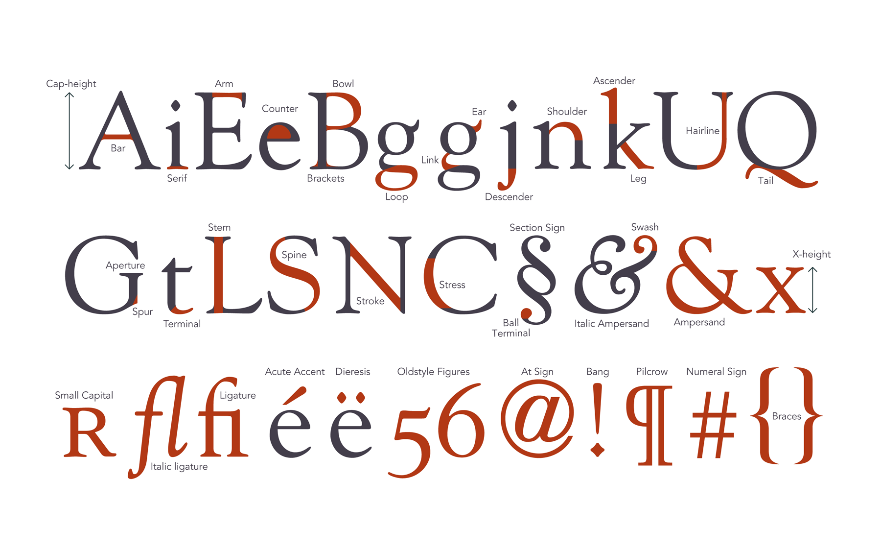Type anatomy and some diacriticals and punctuation